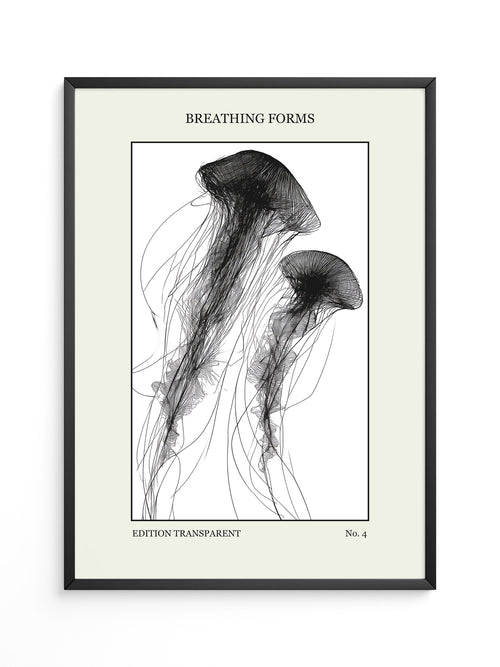 Quallen Transparentlinie Kunstwerk
