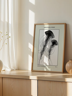 Quallen Transparentlinie Kunstwerk