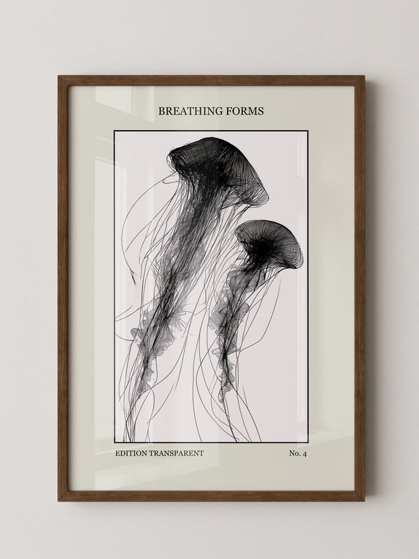 Quallen Transparentlinie Kunstwerk