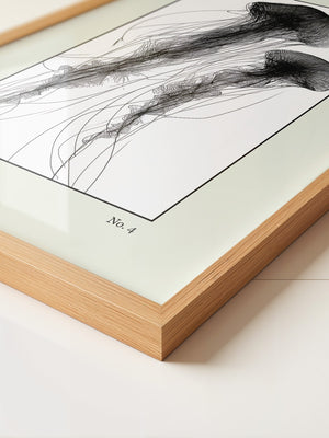 Quallen Transparentlinie Kunstwerk