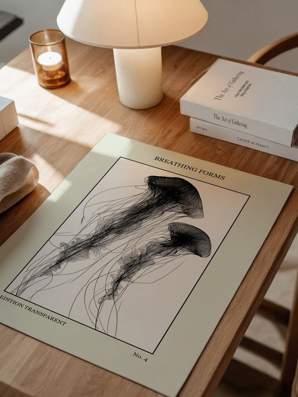 Quallen Transparentlinie Kunstwerk