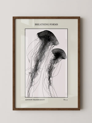 Quallen Transparentlinie Kunstwerk