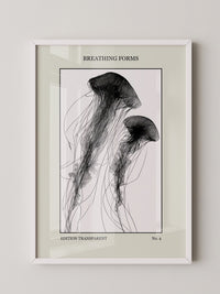 Quallen Transparentlinie Kunstwerk
