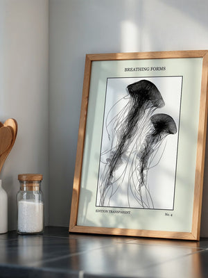 Quallen Transparentlinie Kunstwerk