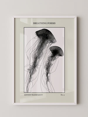 Quallen Transparentlinie Kunstwerk