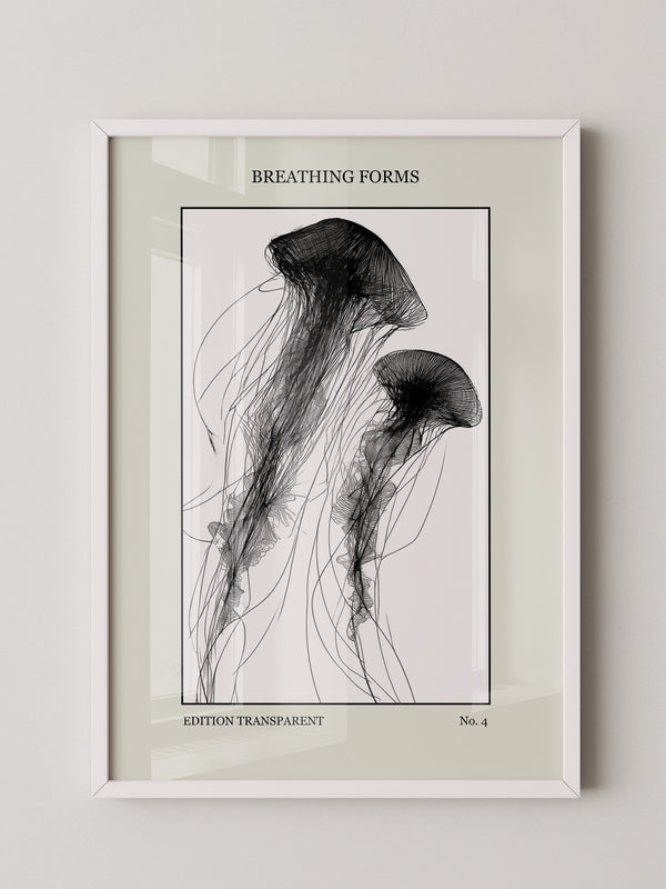 Quallen Transparentlinie Kunstwerk