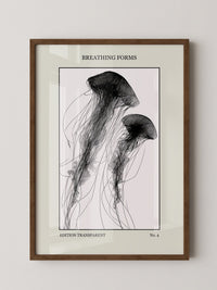 Quallen Transparentlinie Kunstwerk