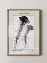 Quallen Transparentlinie Kunstwerk