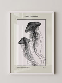 Medusen Linien Schwarz-Weiß