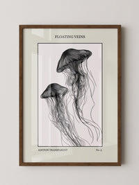 Medusen Linien Schwarz-Weiß