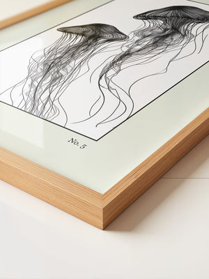 Medusen Linien Schwarz-Weiß