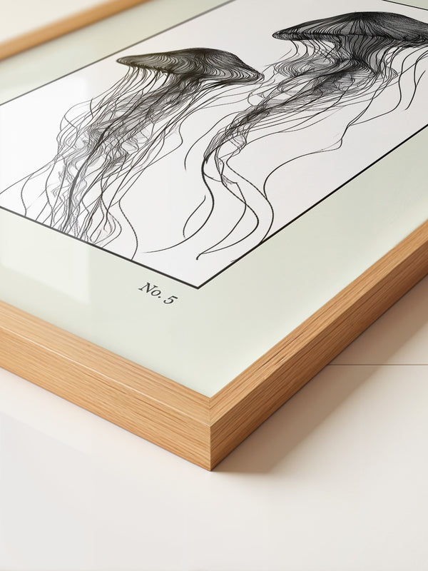 Medusen Linien Schwarz-Weiß