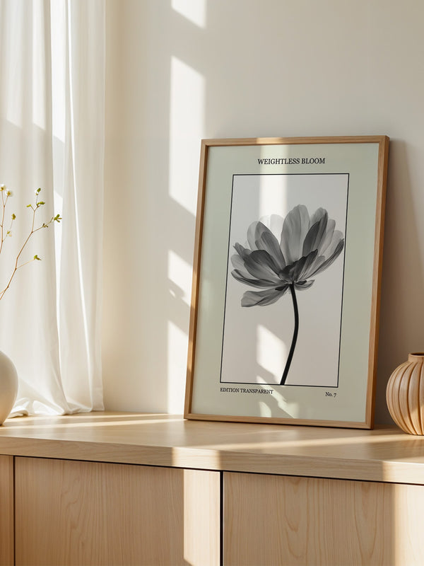 Blume Schwarz Weiß Transparent