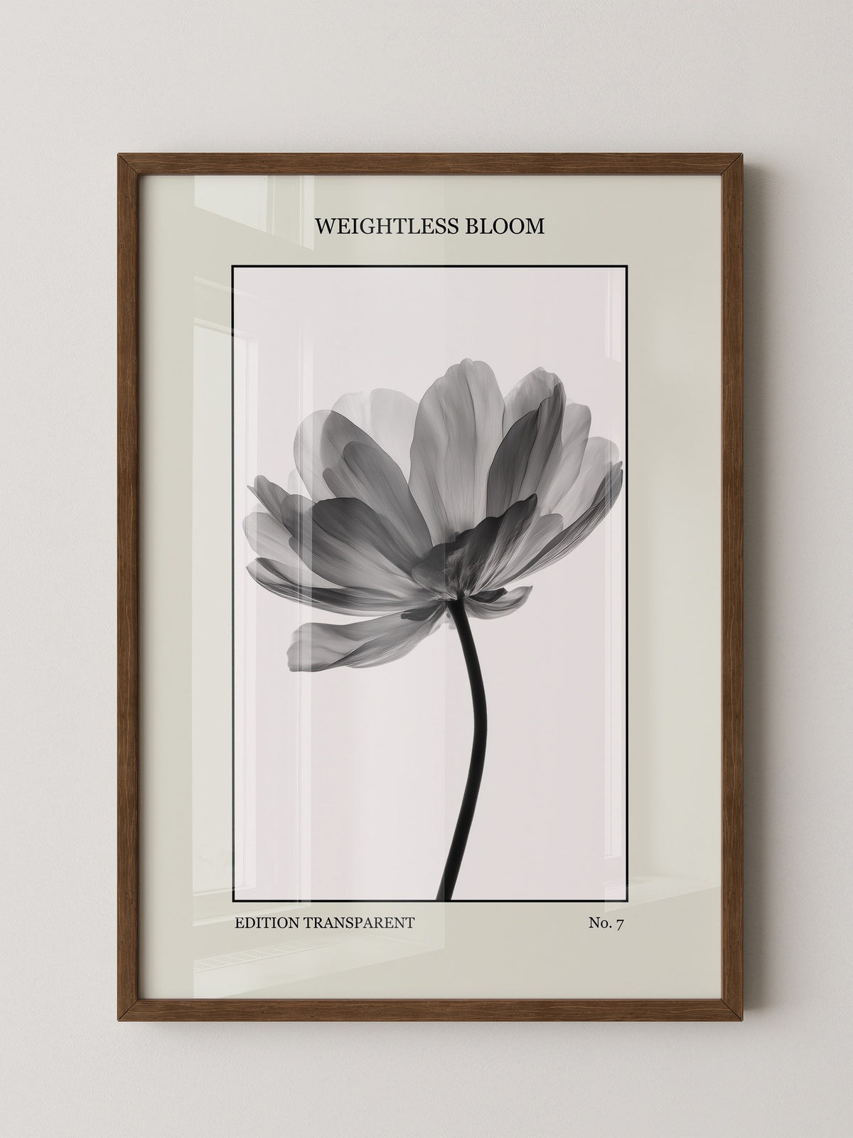 Blume Schwarz Weiß Transparent