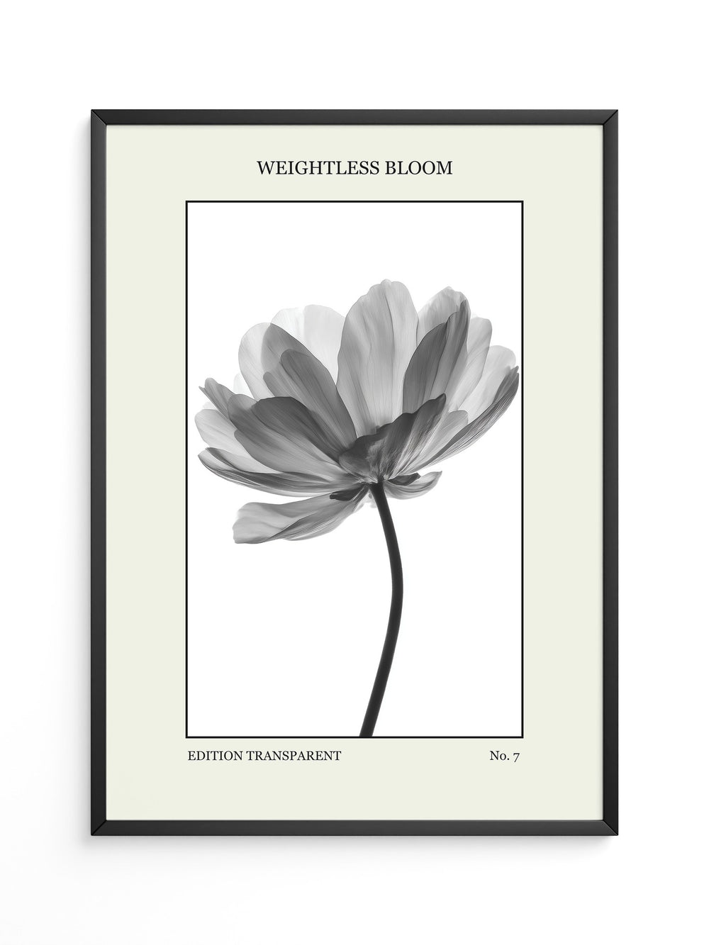 Blume Schwarz Weiß Transparent