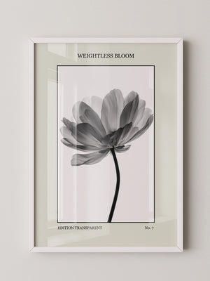 Blume Schwarz Weiß Transparent