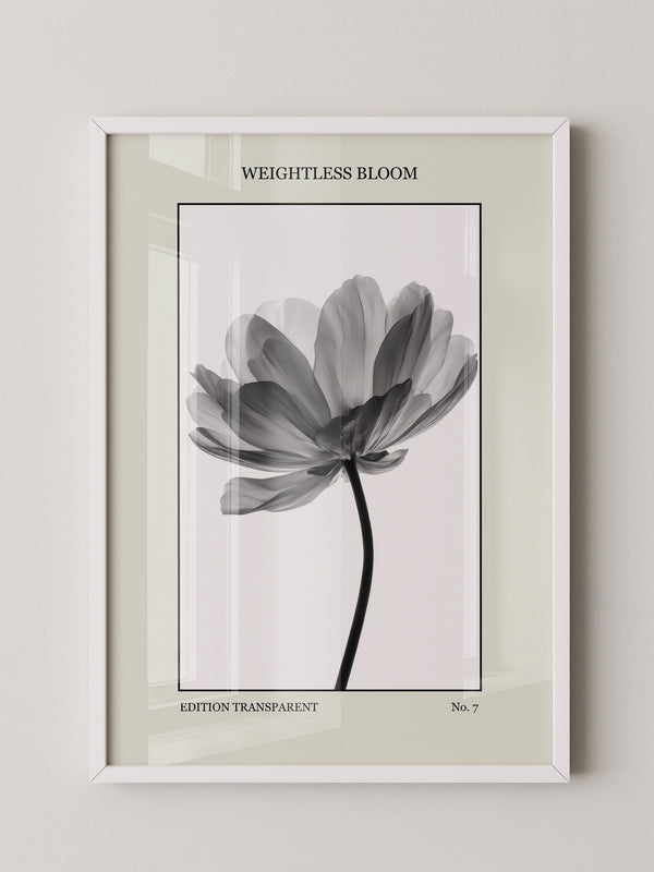 Blume Schwarz Weiß Transparent