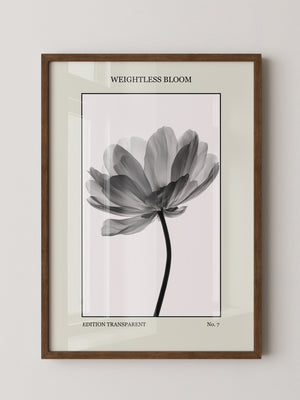 Blume Schwarz Weiß Transparent