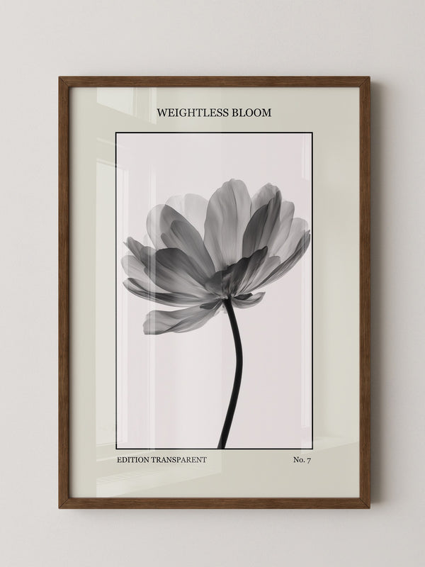 Blume Schwarz Weiß Transparent