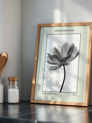 Blume Schwarz Weiß Transparent