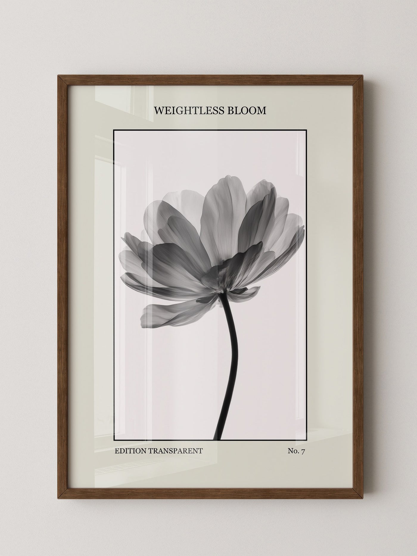 Blume Schwarz Weiß Transparent
