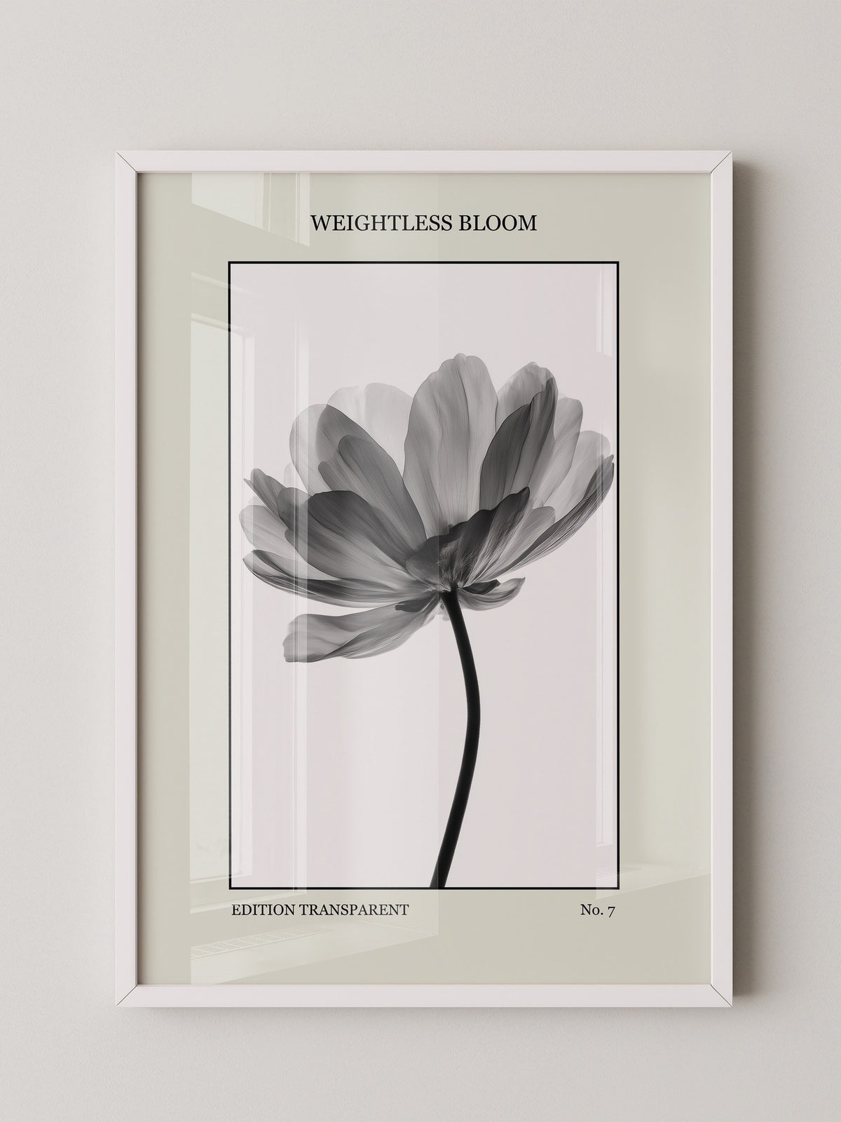 Blume Schwarz Weiß Transparent