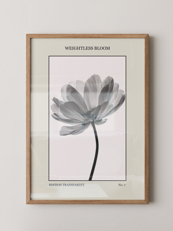 Blume Schwarz Weiß Transparent