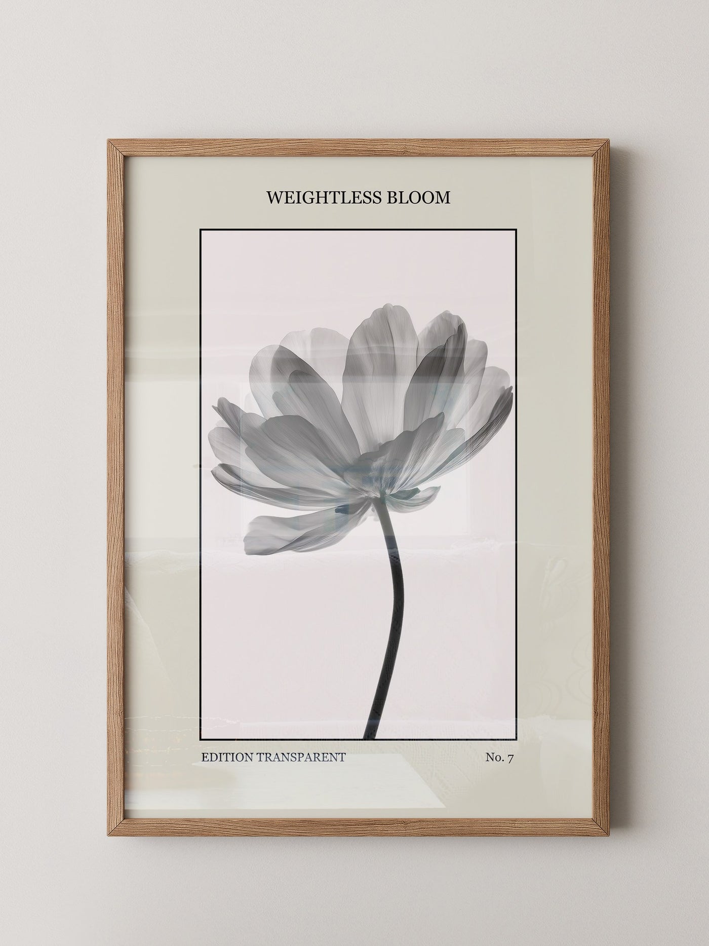 Blume Schwarz Weiß Transparent