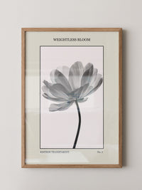 Blume Schwarz Weiß Transparent