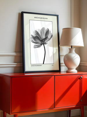 Blume Schwarz Weiß Transparent