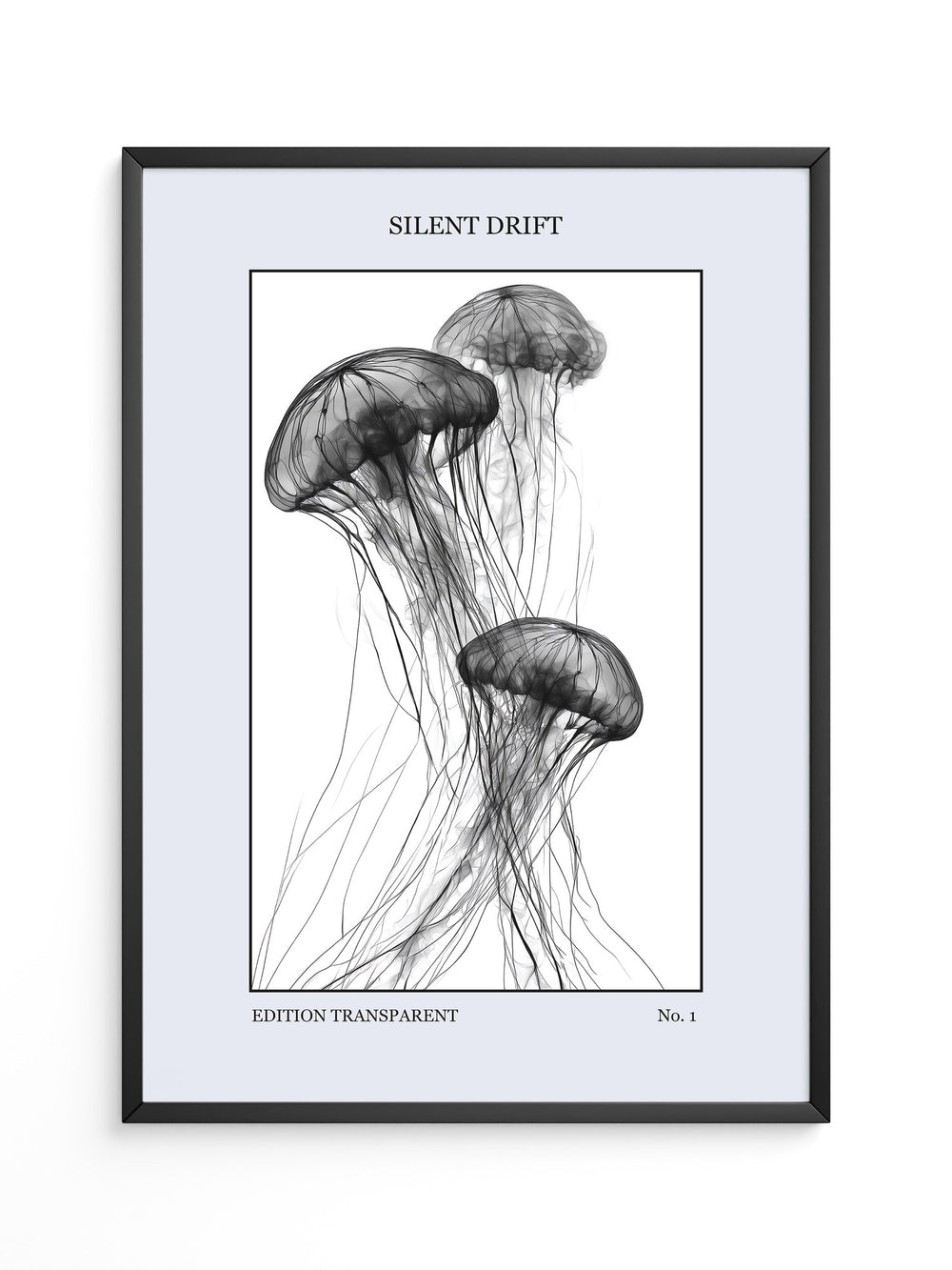 Quallen Transparent S/W