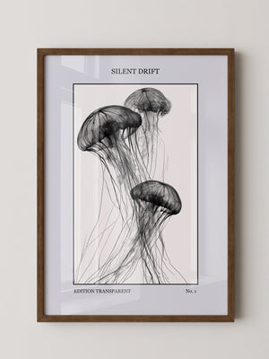 Quallen Transparent S/W