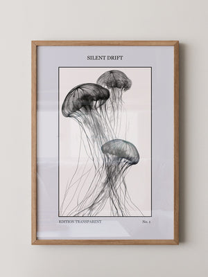 Quallen Transparent S/W