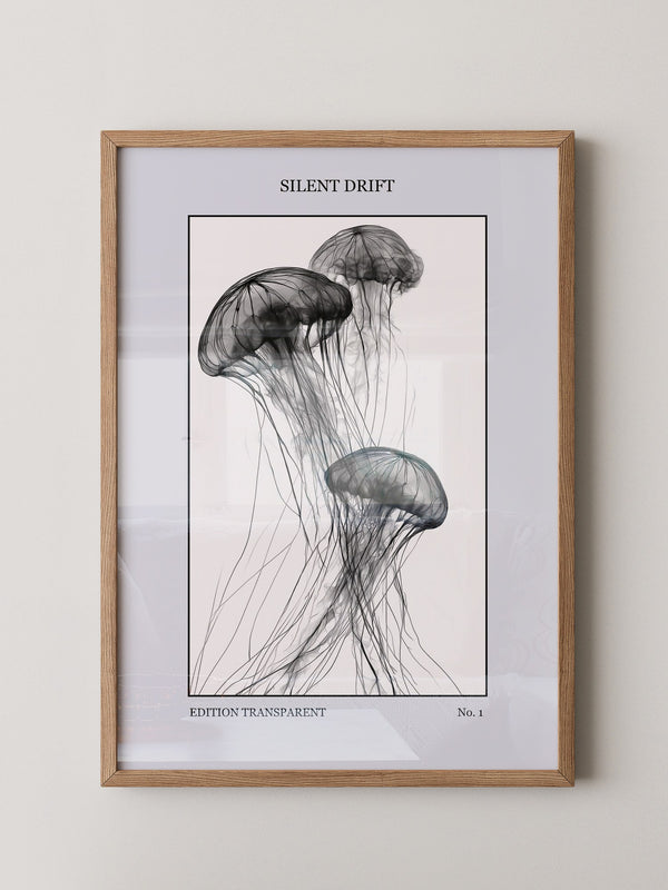 Quallen Transparent S/W