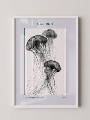 Quallen Transparent S/W