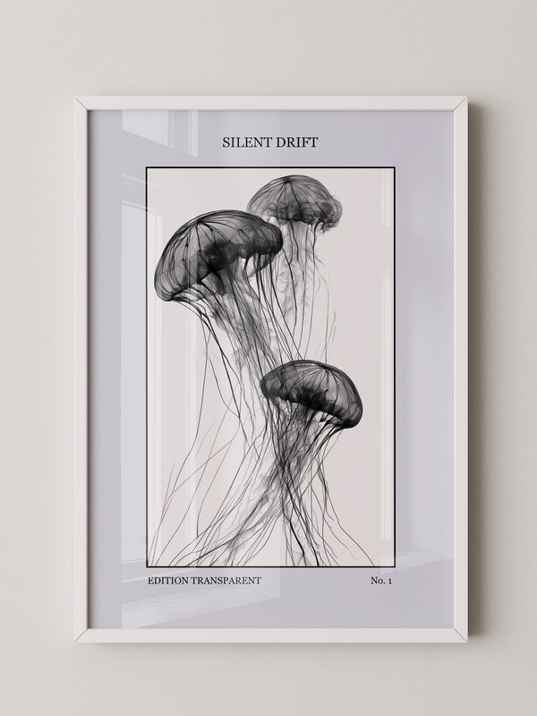 Quallen Transparent S/W