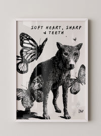 Wolf Schmetterlinge Schwarzweiß