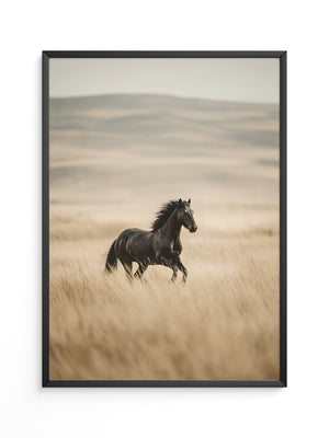 Schwarzer Hengst goldene Steppe