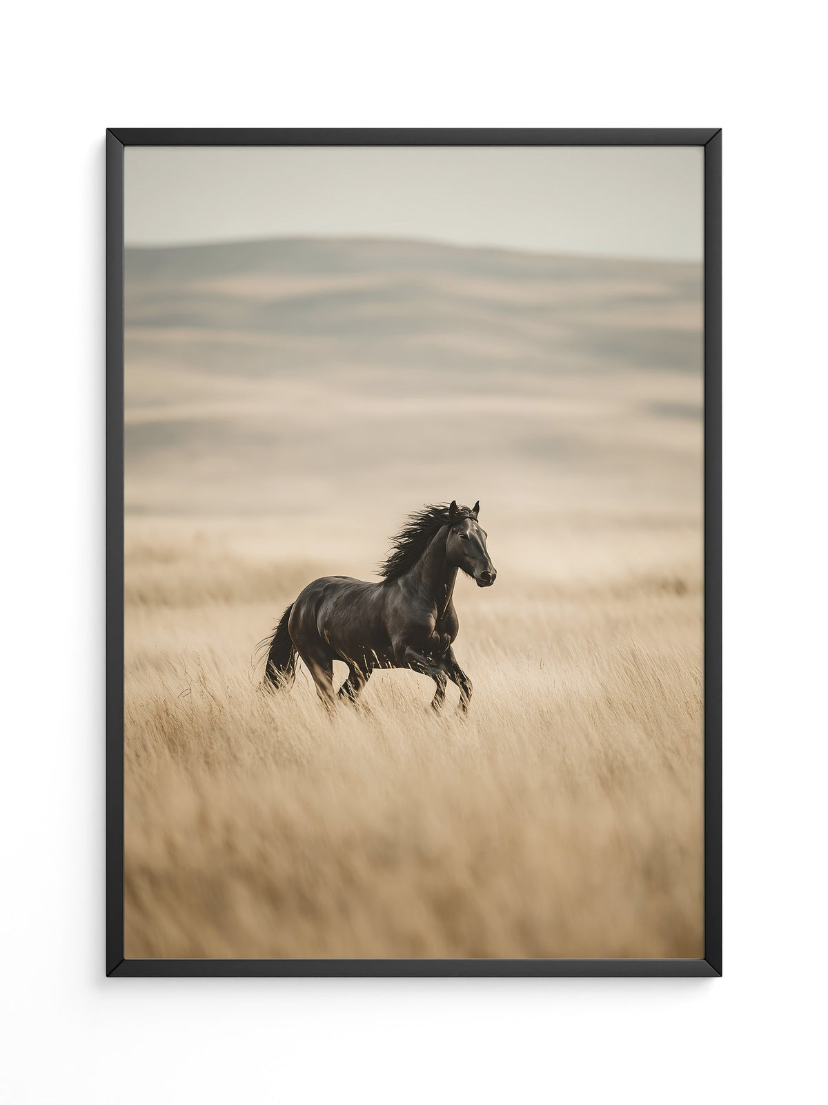 Schwarzer Hengst goldene Steppe