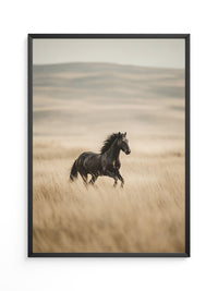 Schwarzer Hengst goldene Steppe