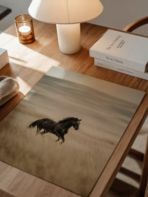 Schwarzer Hengst goldene Steppe