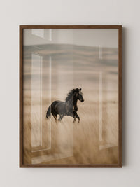 Schwarzer Hengst goldene Steppe