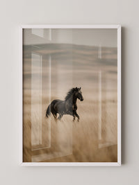 Schwarzer Hengst goldene Steppe