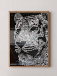 Tigerkopf Kunstvolles Schwarzweiß
