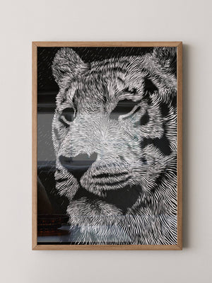 Tigerkopf Kunstvolles Schwarzweiß