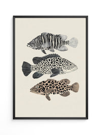 Fische Tiermuster Schwarz Weiß