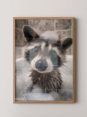 Waschbär Seifenschaum Nahaufnahme