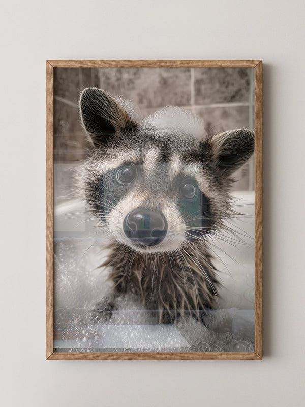 Waschbär Seifenschaum Nahaufnahme