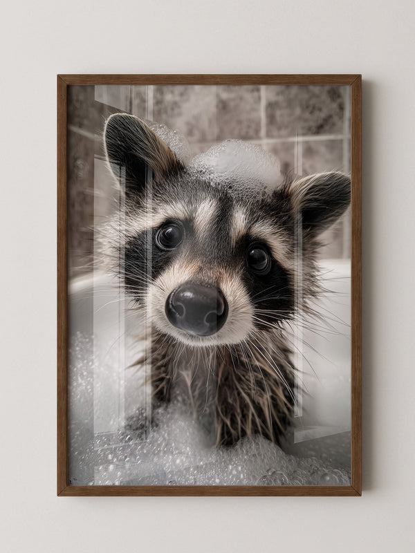 Waschbär Seifenschaum Nahaufnahme