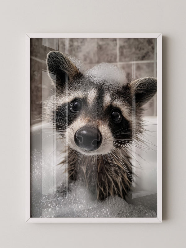 Waschbär Seifenschaum Nahaufnahme